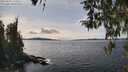 ./images/koeye/fitz-hugh/20260330/fitz-hugh20260330_143501M.jpg
