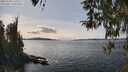 ./images/koeye/fitz-hugh/20260330/fitz-hugh20260330_144001M.jpg