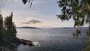 ./images/koeye/fitz-hugh/20260330/fitz-hugh20260330_144501M.jpg