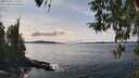 ./images/koeye/fitz-hugh/20260330/fitz-hugh20260330_145501M.jpg