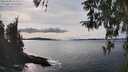 ./images/koeye/fitz-hugh/20260330/fitz-hugh20260330_152501M.jpg