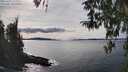 ./images/koeye/fitz-hugh/20260330/fitz-hugh20260330_153001M.jpg