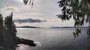 ./images/koeye/fitz-hugh/20260330/fitz-hugh20260330_153501M.jpg