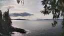 ./images/koeye/fitz-hugh/20260330/fitz-hugh20260330_154002M.jpg