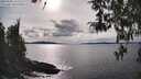 ./images/koeye/fitz-hugh/20260330/fitz-hugh20260330_162501M.jpg