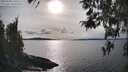 ./images/koeye/fitz-hugh/20260330/fitz-hugh20260330_165501M.jpg
