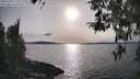 ./images/koeye/fitz-hugh/20260330/fitz-hugh20260330_173501M.jpg