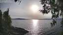 ./images/koeye/fitz-hugh/20260330/fitz-hugh20260330_175502M.jpg