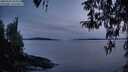 ./images/koeye/fitz-hugh/20260330/fitz-hugh20260330_202502M.jpg