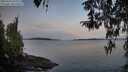 ./images/koeye/fitz-hugh/20260331/fitz-hugh20260331_073002M.jpg
