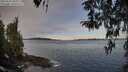 ./images/koeye/fitz-hugh/20260331/fitz-hugh20260331_085002M.jpg