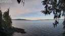 ./images/koeye/fitz-hugh/20260331/fitz-hugh20260331_091501M.jpg
