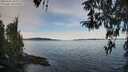 ./images/koeye/fitz-hugh/20260331/fitz-hugh20260331_094002M.jpg