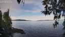 ./images/koeye/fitz-hugh/20260331/fitz-hugh20260331_094501M.jpg
