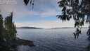 ./images/koeye/fitz-hugh/20260331/fitz-hugh20260331_095002M.jpg