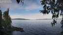 ./images/koeye/fitz-hugh/20260331/fitz-hugh20260331_095501M.jpg