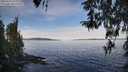 ./images/koeye/fitz-hugh/20260331/fitz-hugh20260331_100002M.jpg