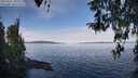 ./images/koeye/fitz-hugh/20260331/fitz-hugh20260331_100501M.jpg