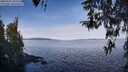 ./images/koeye/fitz-hugh/20260331/fitz-hugh20260331_102502M.jpg