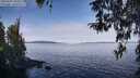 ./images/koeye/fitz-hugh/20260331/fitz-hugh20260331_103501M.jpg