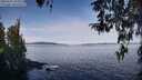 ./images/koeye/fitz-hugh/20260331/fitz-hugh20260331_104001M.jpg