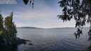 ./images/koeye/fitz-hugh/20260331/fitz-hugh20260331_105001M.jpg