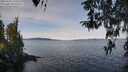./images/koeye/fitz-hugh/20260331/fitz-hugh20260331_110501M.jpg