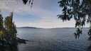 ./images/koeye/fitz-hugh/20260331/fitz-hugh20260331_111001M.jpg