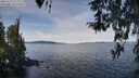 ./images/koeye/fitz-hugh/20260331/fitz-hugh20260331_112002M.jpg