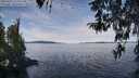 ./images/koeye/fitz-hugh/20260331/fitz-hugh20260331_113501M.jpg