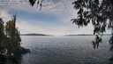 ./images/koeye/fitz-hugh/20260331/fitz-hugh20260331_115501M.jpg