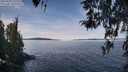 ./images/koeye/fitz-hugh/20260331/fitz-hugh20260331_121501M.jpg