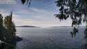 ./images/koeye/fitz-hugh/20260331/fitz-hugh20260331_122002M.jpg