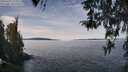 ./images/koeye/fitz-hugh/20260331/fitz-hugh20260331_122501M.jpg