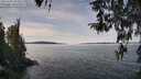 ./images/koeye/fitz-hugh/20260331/fitz-hugh20260331_123501M.jpg