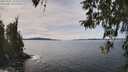./images/koeye/fitz-hugh/20260331/fitz-hugh20260331_134501M.jpg