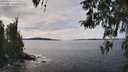 ./images/koeye/fitz-hugh/20260331/fitz-hugh20260331_141501M.jpg