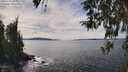 ./images/koeye/fitz-hugh/20260331/fitz-hugh20260331_145001M.jpg