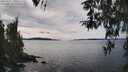 ./images/koeye/fitz-hugh/20260331/fitz-hugh20260331_150501M.jpg