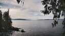 ./images/koeye/fitz-hugh/20260331/fitz-hugh20260331_152001M.jpg