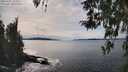 ./images/koeye/fitz-hugh/20260331/fitz-hugh20260331_153501M.jpg