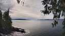 ./images/koeye/fitz-hugh/20260331/fitz-hugh20260331_155502M.jpg