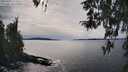 ./images/koeye/fitz-hugh/20260331/fitz-hugh20260331_160002M.jpg