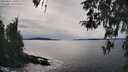 ./images/koeye/fitz-hugh/20260331/fitz-hugh20260331_160501M.jpg