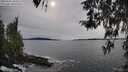 ./images/koeye/fitz-hugh/20260331/fitz-hugh20260331_164502M.jpg
