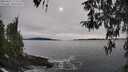 ./images/koeye/fitz-hugh/20260331/fitz-hugh20260331_171502M.jpg