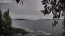 ./images/koeye/fitz-hugh/20260331/fitz-hugh20260331_181002M.jpg