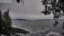 ./images/koeye/fitz-hugh/20260331/fitz-hugh20260331_183002M.jpg