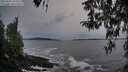 ./images/koeye/fitz-hugh/20260331/fitz-hugh20260331_193501M.jpg