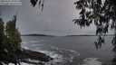 ./images/koeye/fitz-hugh/20260331/fitz-hugh20260331_194502M.jpg